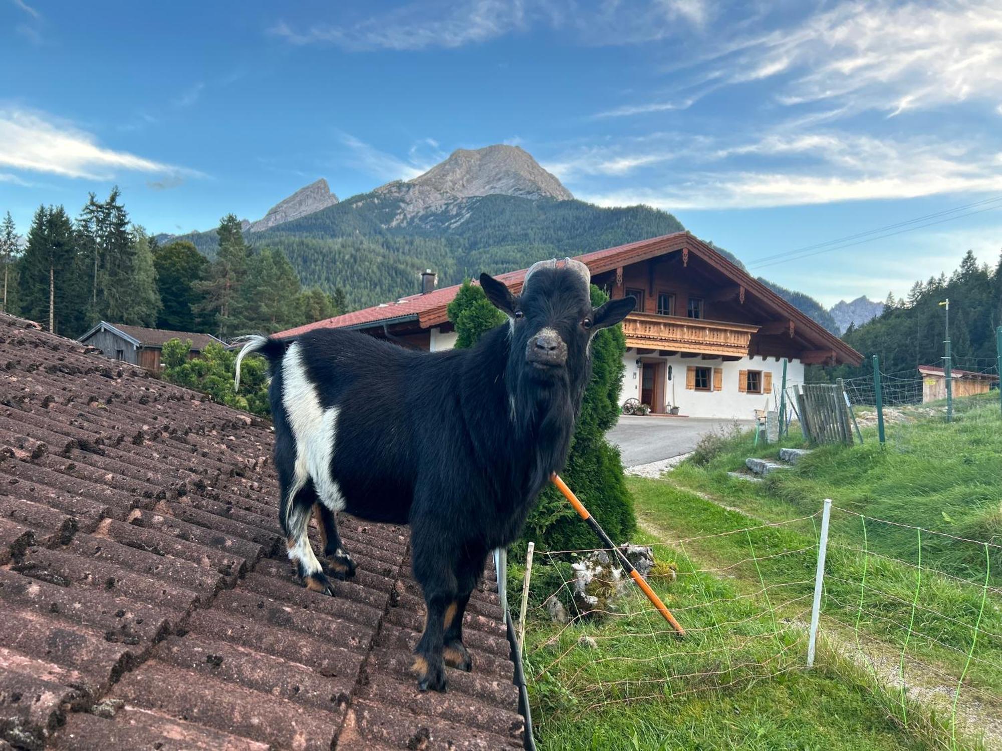 Auf'M Feggenlehen Ramsau bei Berchtesgaden Exterior foto