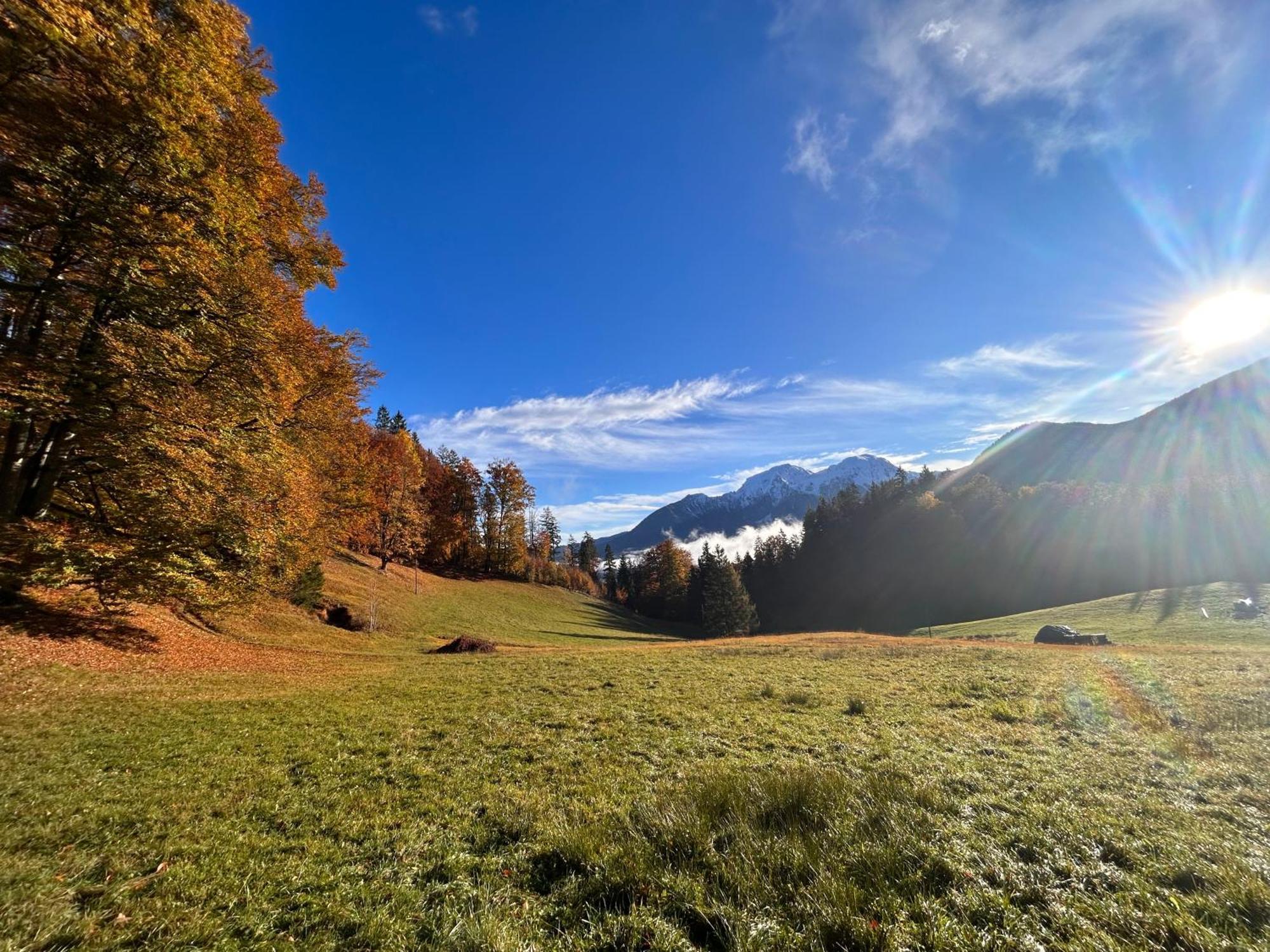 Auf'M Feggenlehen Ramsau bei Berchtesgaden Exterior foto