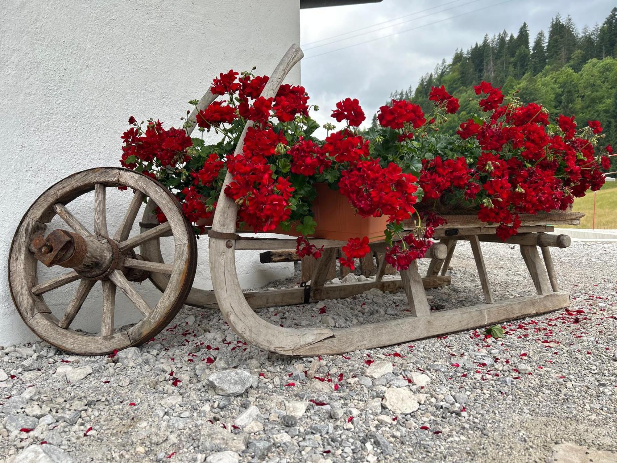 Auf'M Feggenlehen Ramsau bei Berchtesgaden Exterior foto